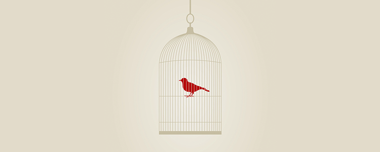 手机号轰炸免费软件